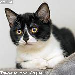 Kaleigh Turner Profile Picture