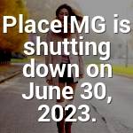 Holly Heidenreich Profile Picture