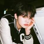 yan xu Profile Picture