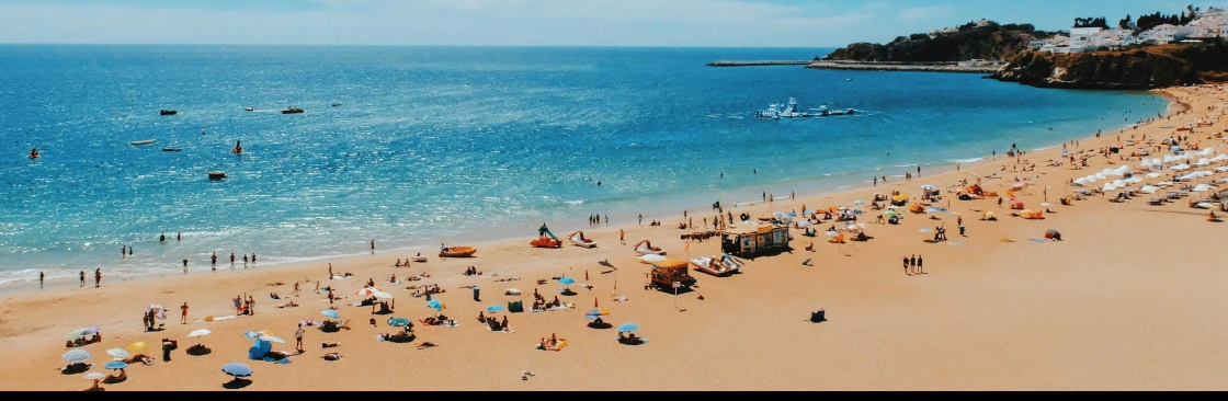 Perfect Holidays Cover Image