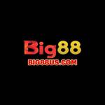BIG88 USCOM Profile Picture