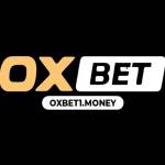 OXBET 1MONEY Profile Picture