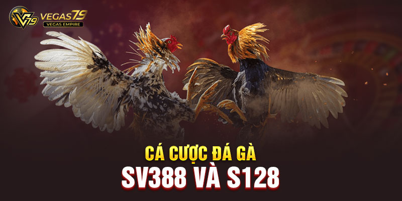 Đá gà Vegas79