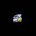 SKY88 L1COM Profile Picture
