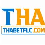thabet flccom Profile Picture