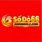 sodo66 flccom Profile Picture