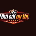 nhacaiuytinnhatvietnamcom Profile Picture