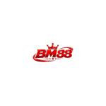 BM88 in net Profile Picture