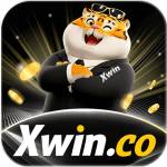xwinapp org Profile Picture
