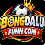 bongdalu funn com Profile Picture