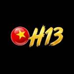 h13 solutions Profile Picture