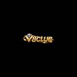 V8CLUB TOOLS Profile Picture